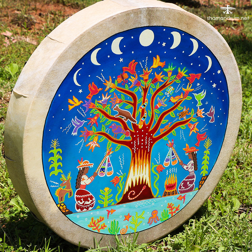 huachol shaman drum 3